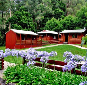 McKerlie Creek Cabins from above